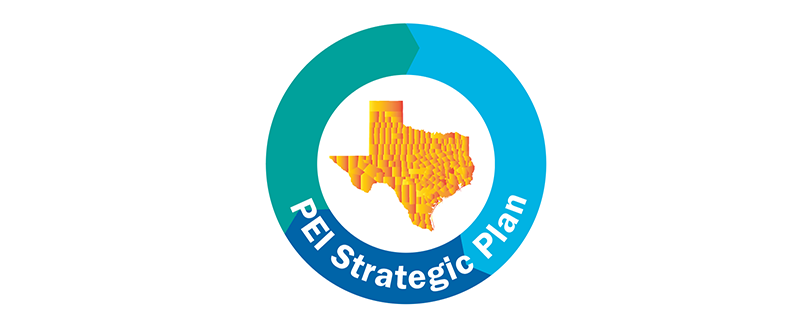 PEI Strategic Plan Image