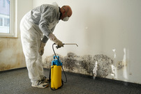 mold remediator