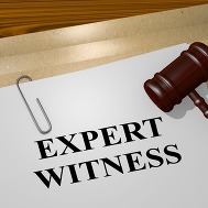 expert witness