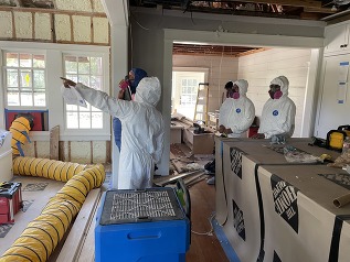 mold inspectors october 2024