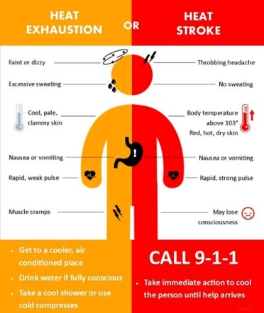 heat stroke exhaustion signs