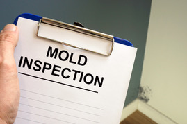 mold inspection clipboard