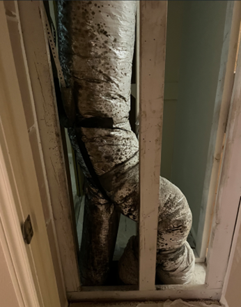 less obvious home mold contamination