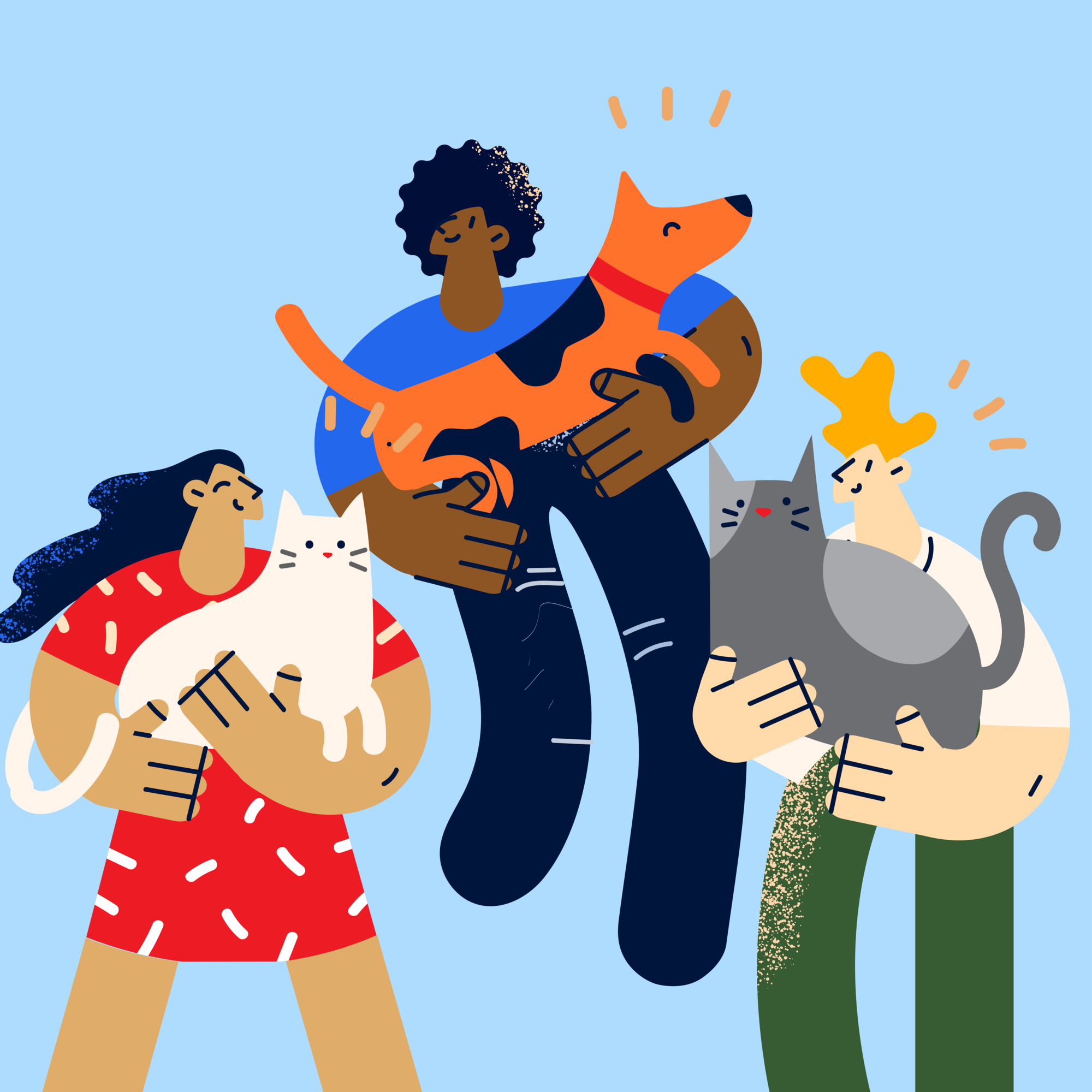 animals illustration