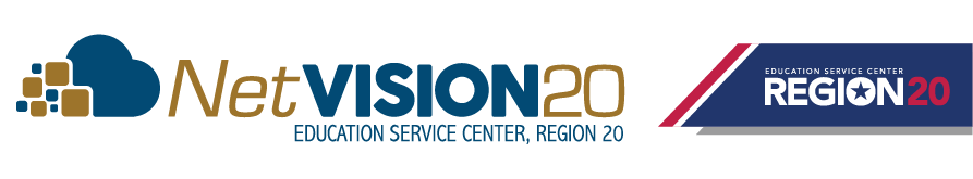 NetVision20 Logo Header