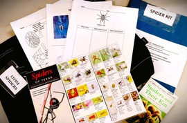 Venomous and Non-venomous Spiders Kit