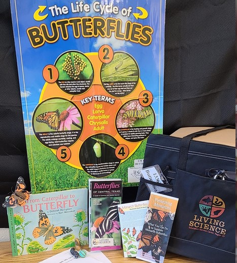Butterfly Life Cycle Kit