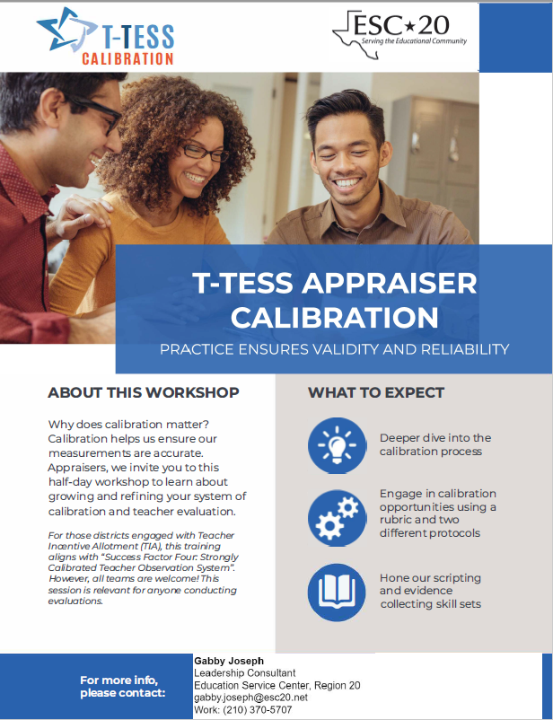 T-TESS Calibration