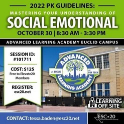 Mastering Your Understanding of Social Emotional