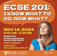 ECSE 201: I Know What To Do, Now What?