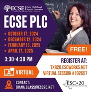ECSE PLC