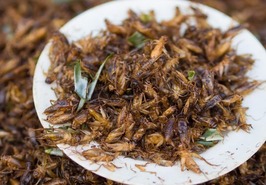 Crickets on a plate