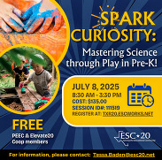 Spark Curiosity