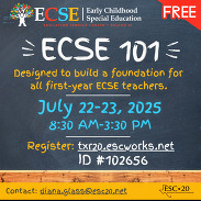 ECSE 101