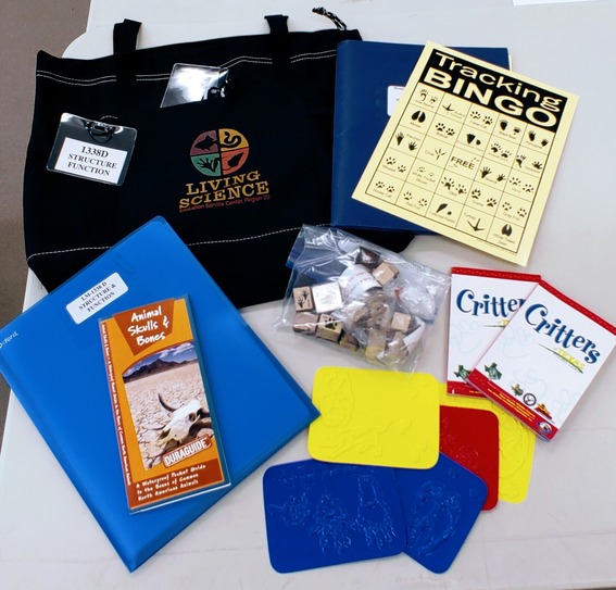 Structure and Functions Kit