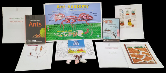 Ant Kit