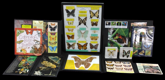 Butterfly Kit LE Barber Collection