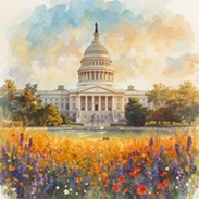 Legislative Updates