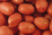 potatoes