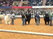 Era ISD FFA Students