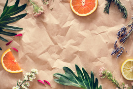 Early Childhood Newsletter | Spring & Summer 2025