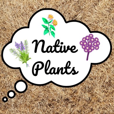 Use native plants