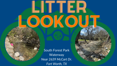 Help us clean up South Forest Park waterway!