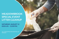 Meadowbrook Litter Cleanup event