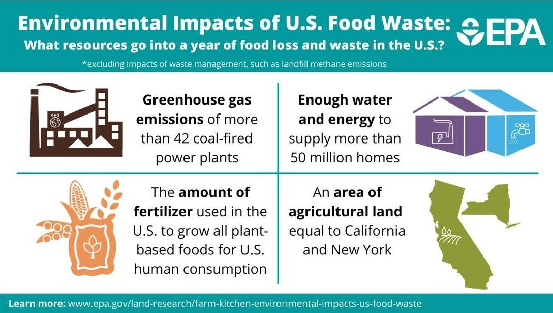 Food waste can impact the environment in multiple ways.