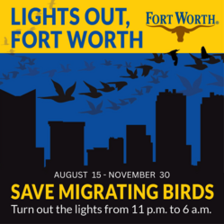 Turn out lights at night during the fall migration to help protect the migratory birds that fly over Texas annually.