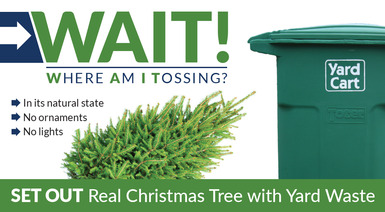 Set out undecorated, natural Christmas trees with yard waste.