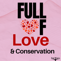 Love your home and conservation savings.
