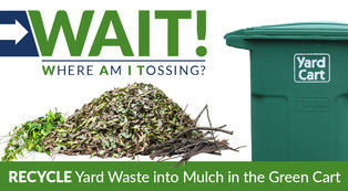 Recycle yard waste into mulch in the green cart.