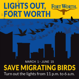 Protect migrating birds: turn off your lights!