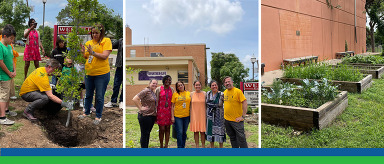 School Green Teams Collage 