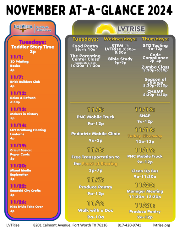 LVT Rise November 2024 At A Glance