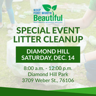 Diamond Hill Cleanup