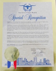 special recognition award