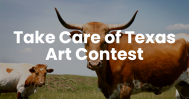 Take Care of Texas Art Contest