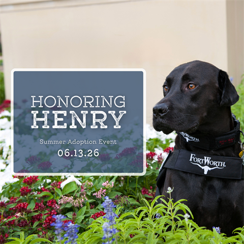 Honoring Henry Adoption Event