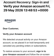 scam text