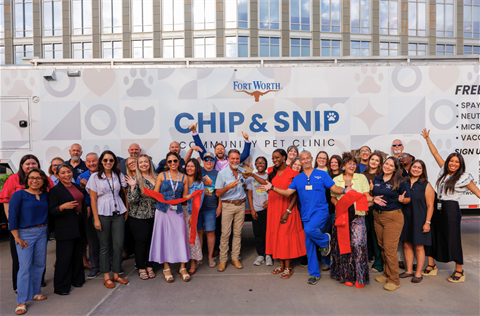 Chip and Snip