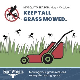 Mosquito season