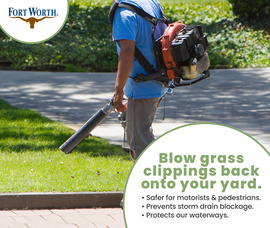 Grass Clippings