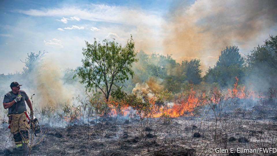 Brush fire