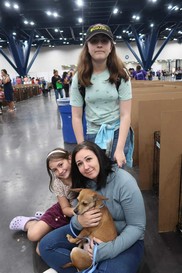 ARC pet adoptions