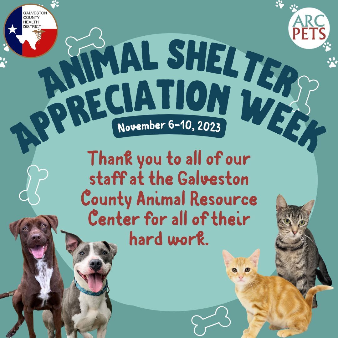 Animal Shelter Appreciation Week 2023