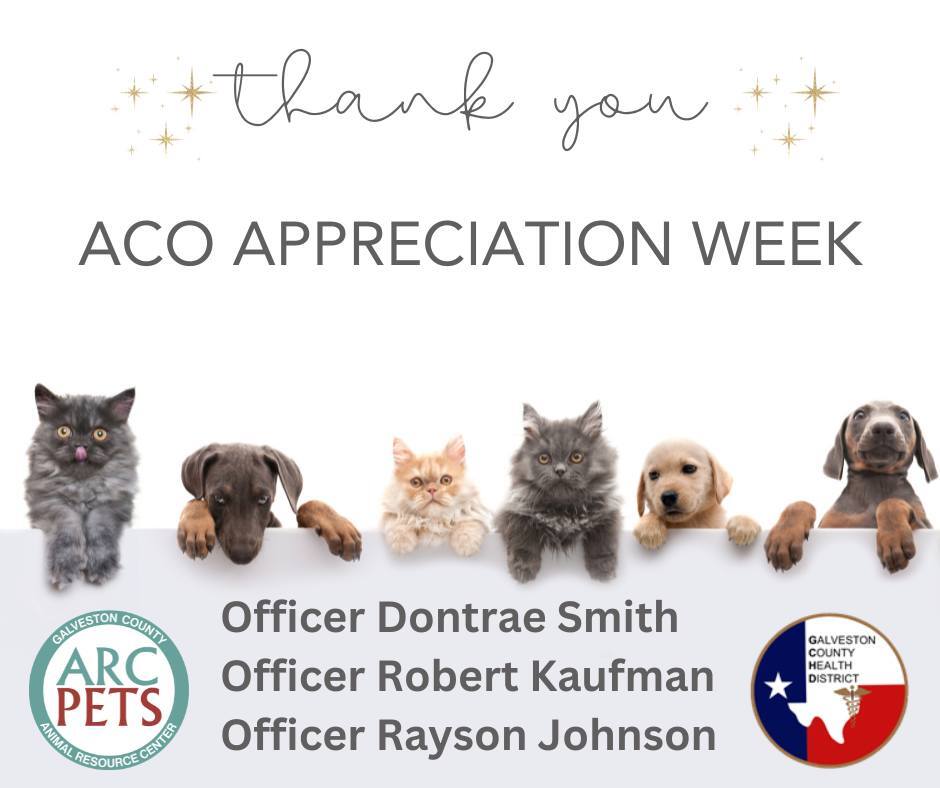 ACO appreciation week 2024