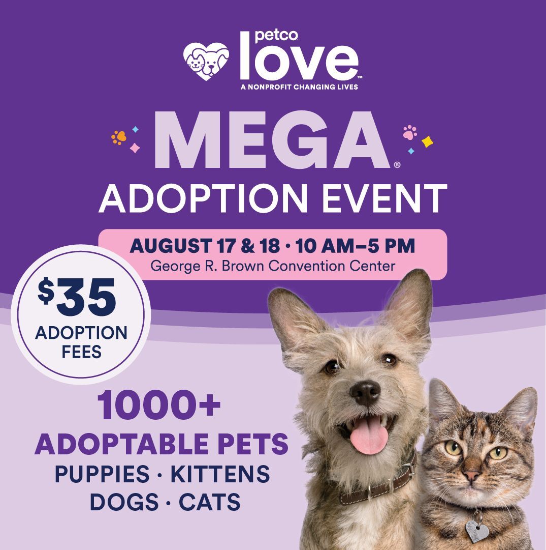 Mega Adoption