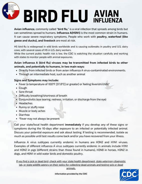 Bird Flu AVian Influenza Fact Sheet